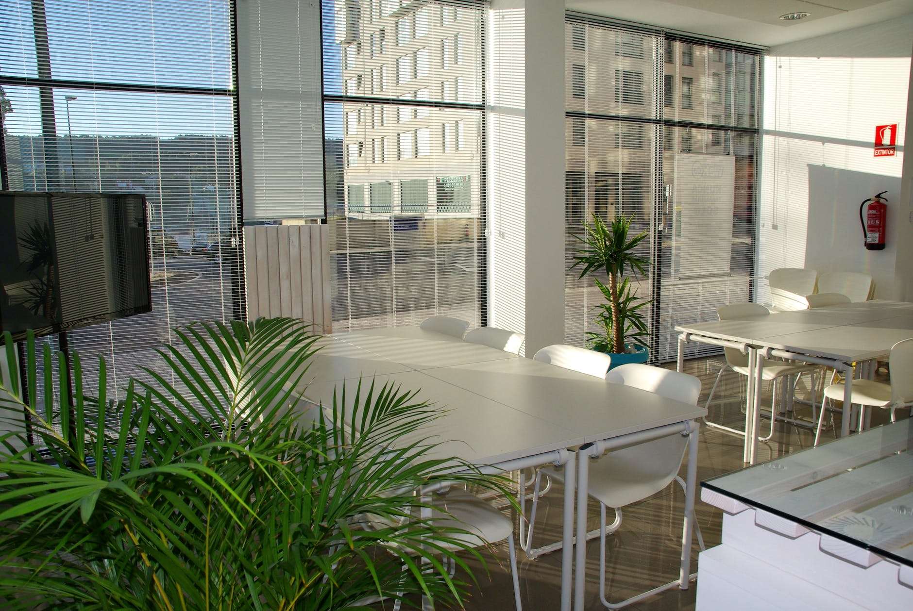 The Benefits of Natural Light in the Workplace