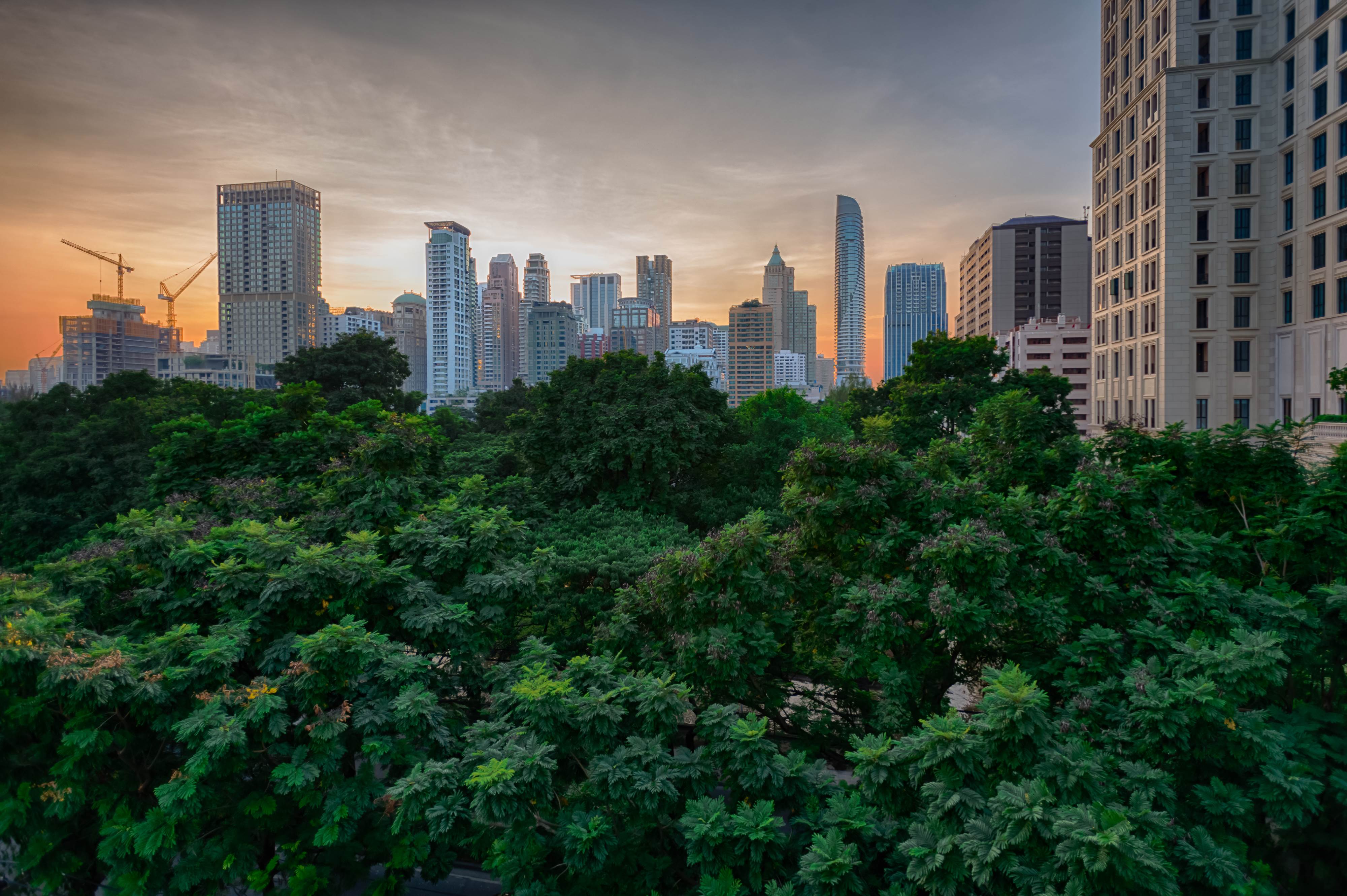 Sustainability in Real Estate: The Shift to Green Development