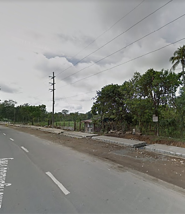 Silang, Cavite Farm Lot For Sale (18,416 Sq M)