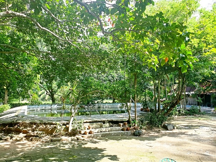 23,000 sqm Lot for Sale in Calumpit, Bulacan