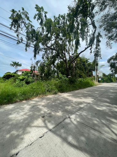 Lipa City Lot for Sale (14,833 sq m)